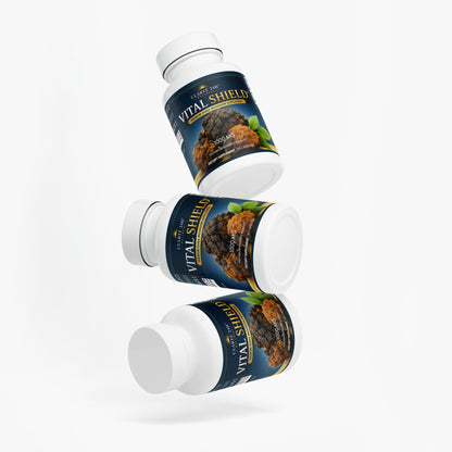 Chaga Mushroom Capsules in white bottles with navy labels, gold lettering, and a colorful Chaga mushroom and leaf design.